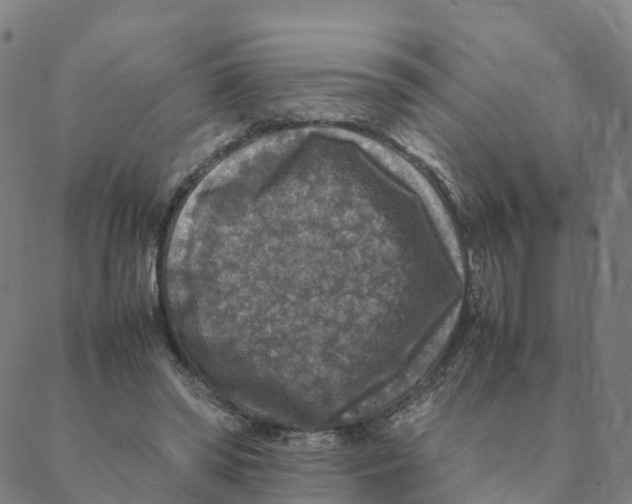 X0000088400398200706191403