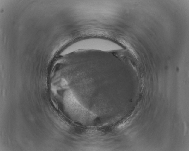 X0000088400399200706191403