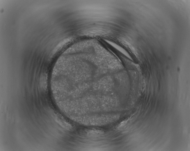 X0000088400400200706191402