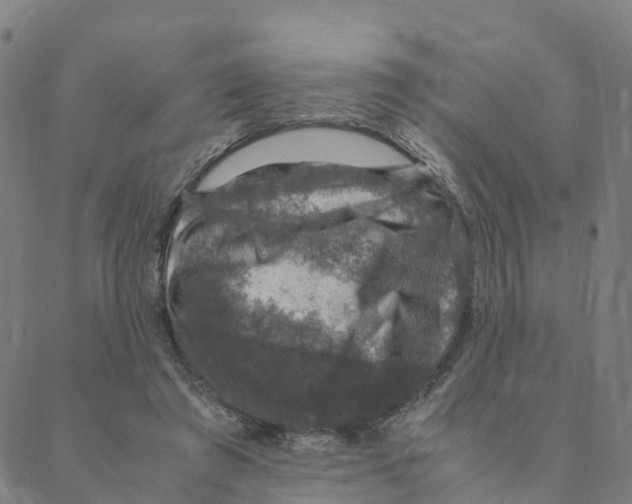 X0000088400401200706191402