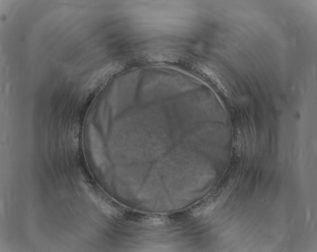 X0000088400402200706191402