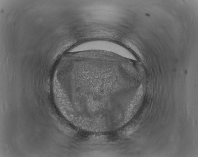 X0000088400403200706191402