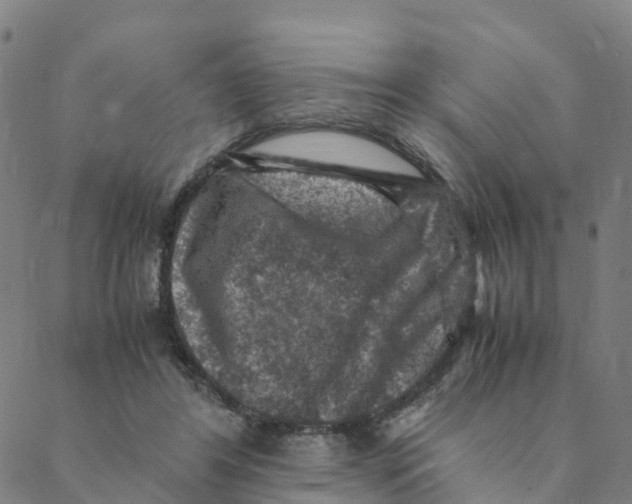 X0000088400404200706191402