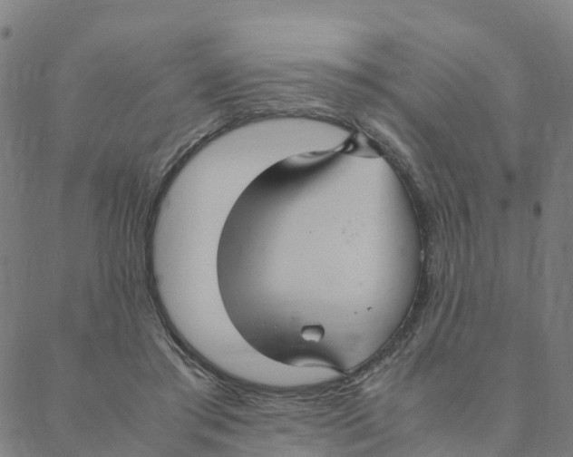 X0000088400405200706191402