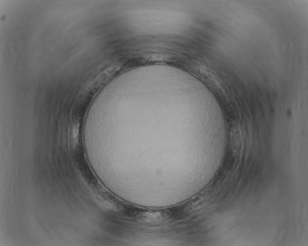 X0000088400406200706191402