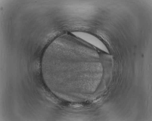 X0000088400407200706191402