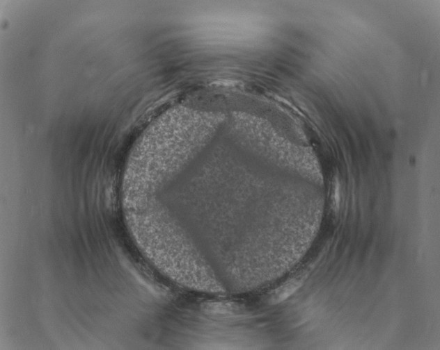 X0000088400408200706191402