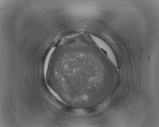 X0000088400409200706191402