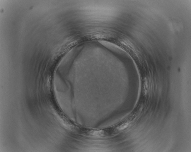 X0000088400410200706191402