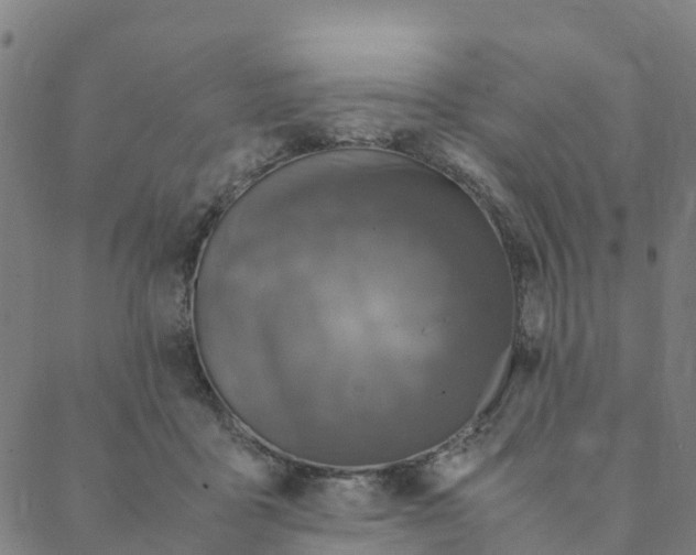 X0000088400411200706191402