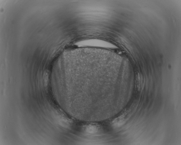 X0000088400412200706191402