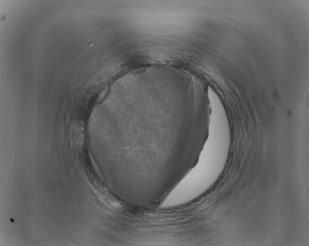 X0000088400413200706191402