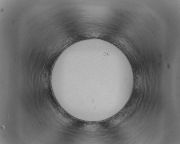 X0000088400414200706191402