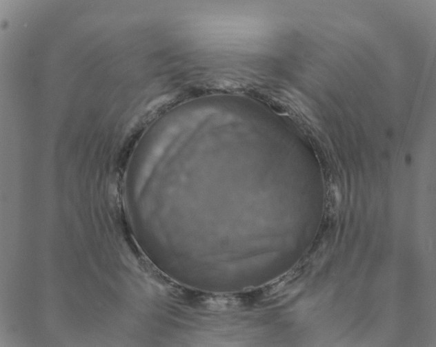 X0000088400415200706191402