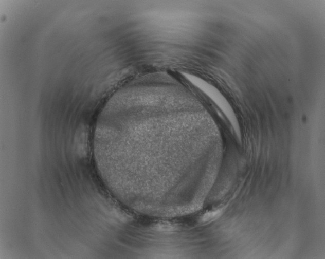 X0000088400416200706191402