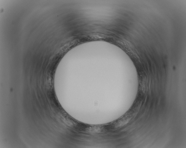 X0000088400418200706191402