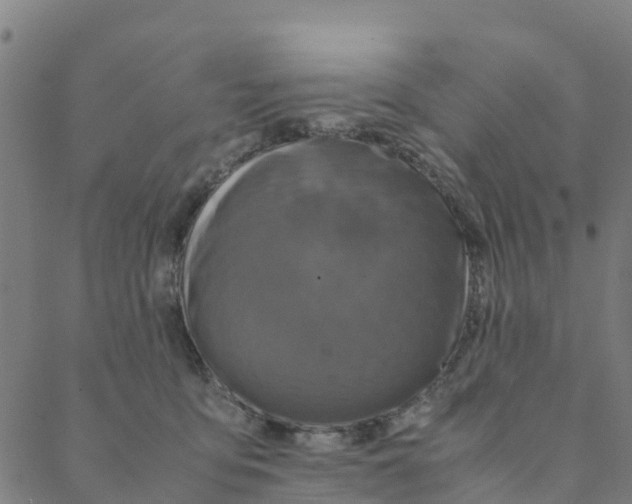 X0000088400419200706191402