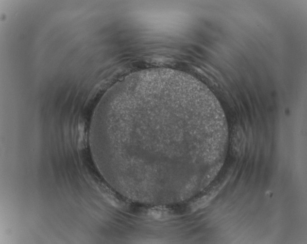 X0000088400420200706191402