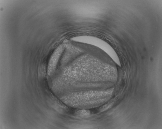 X0000088400421200706191402