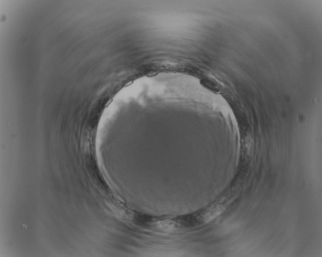 X0000088400423200706191402