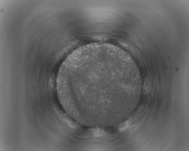 X0000088400424200706191402