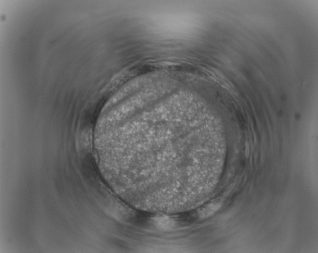 X0000088400425200706191402