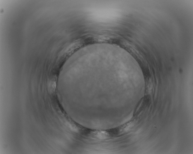 X0000088400427200706191402