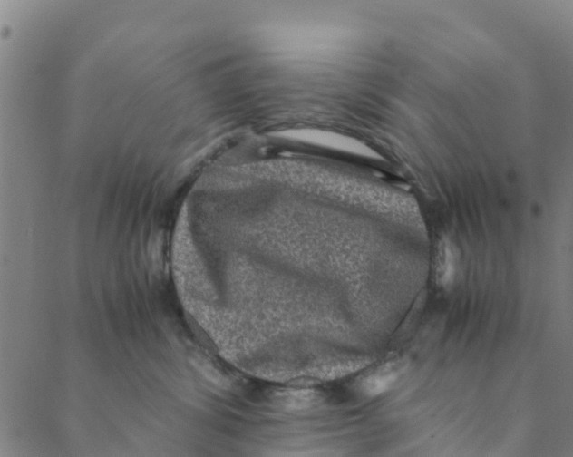 X0000088400428200706191402