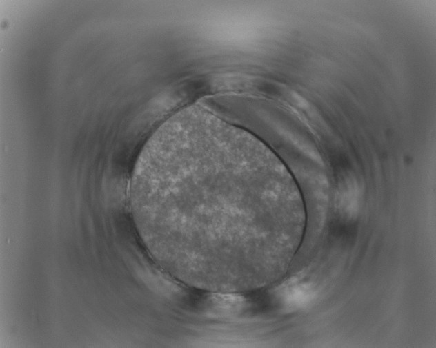 X0000088400429200706191402