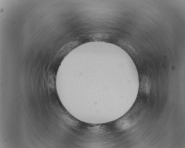 X0000088400430200706191402