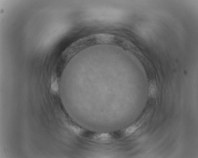 X0000088400431200706191402