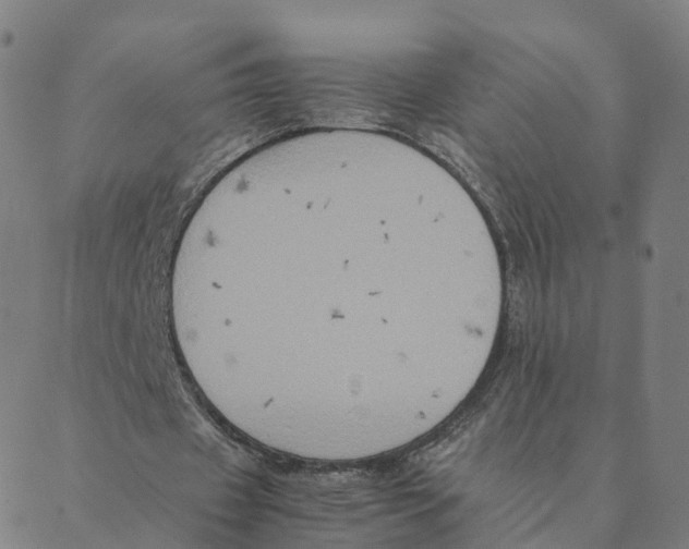 X0000088400433200706191401