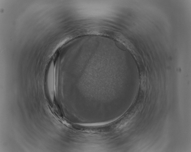 X0000088400434200706191401