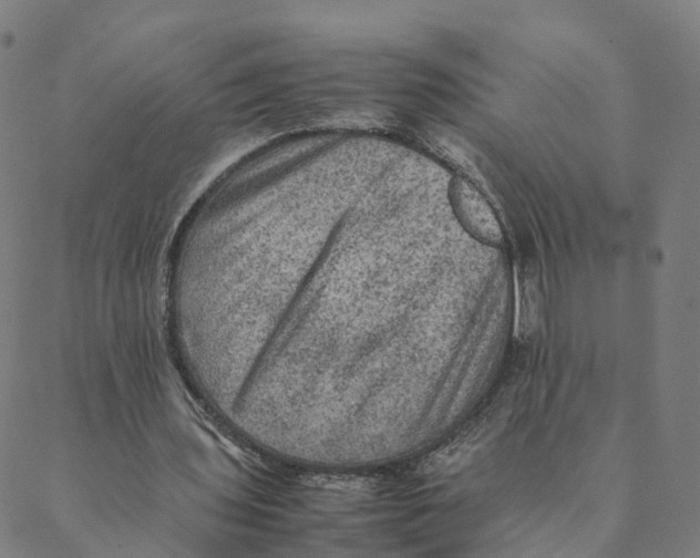 X0000088400435200706191401