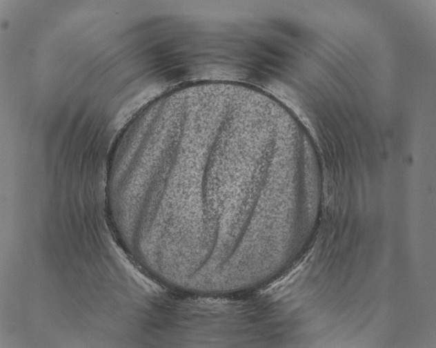 X0000088400437200706191401