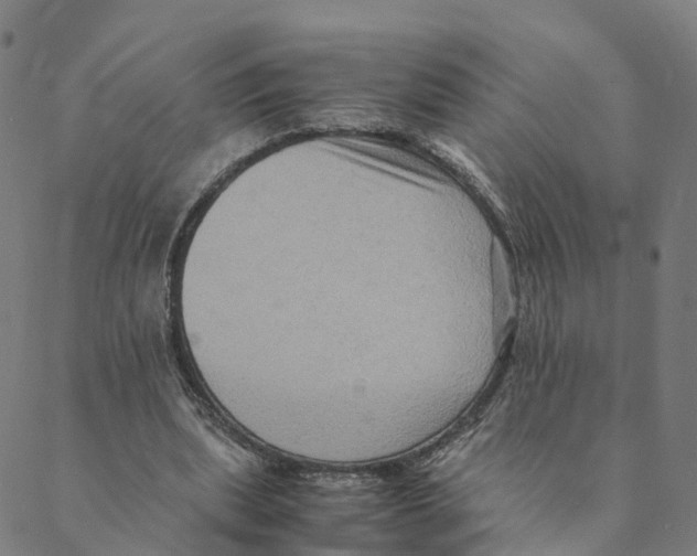 X0000088400439200706191401