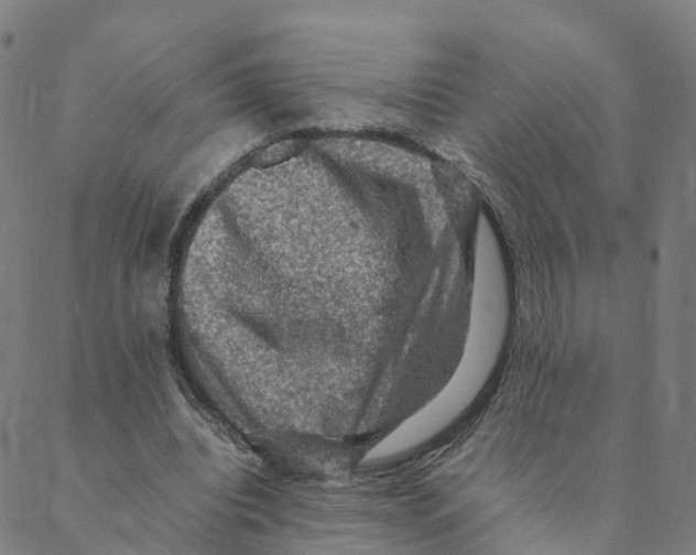 X0000088400440200706191401