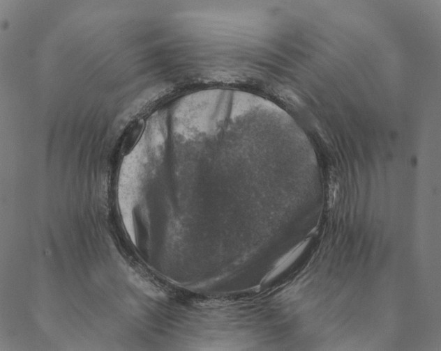 X0000088400444200706191401