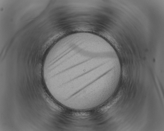 X0000088400445200706191401