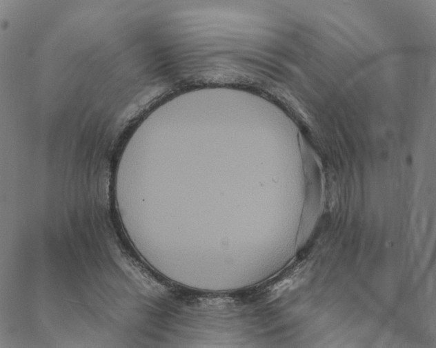 X0000088400446200706191401