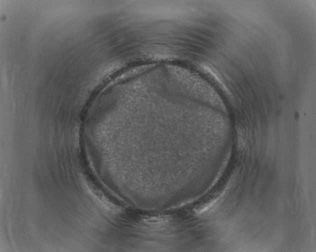 X0000088400447200706191401