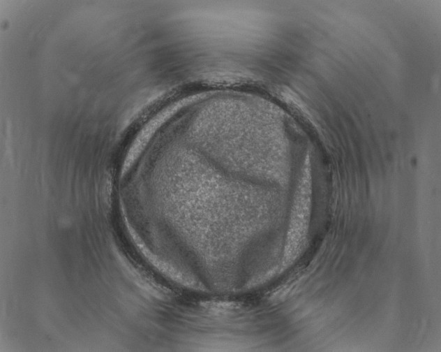 X0000088400448200706191401