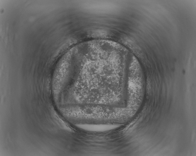 X0000088400449200706191401