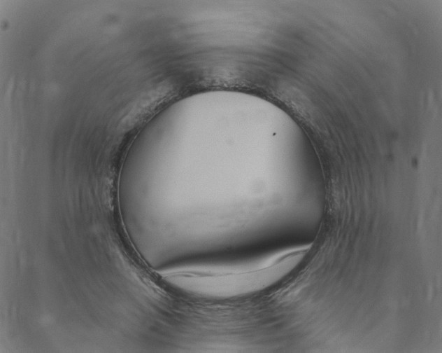 X0000088400450200706191401