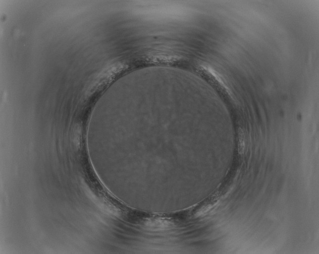 X0000088400451200706191401