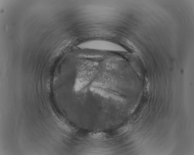 X0000088400452200706191402