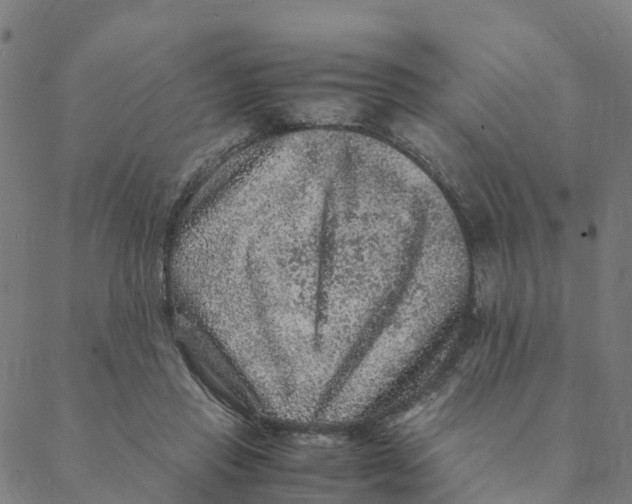 X0000088400453200706191402