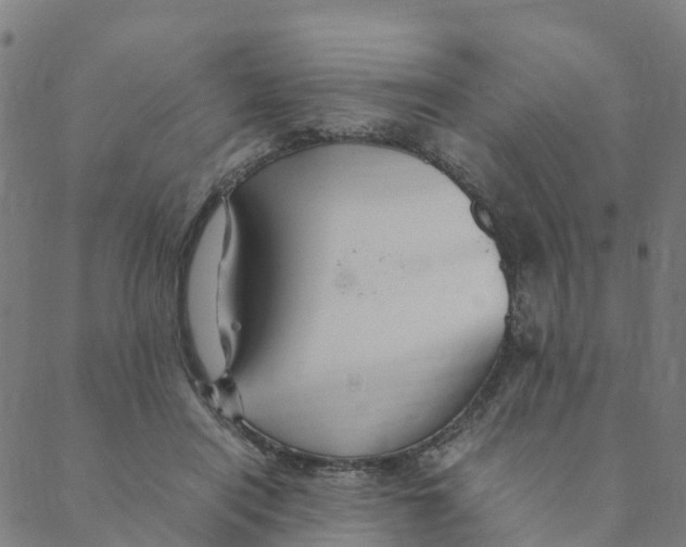 X0000088400454200706191402