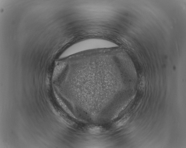 X0000088400456200706191402