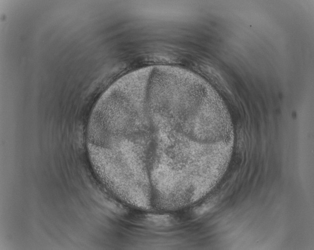 X0000088400457200706191402